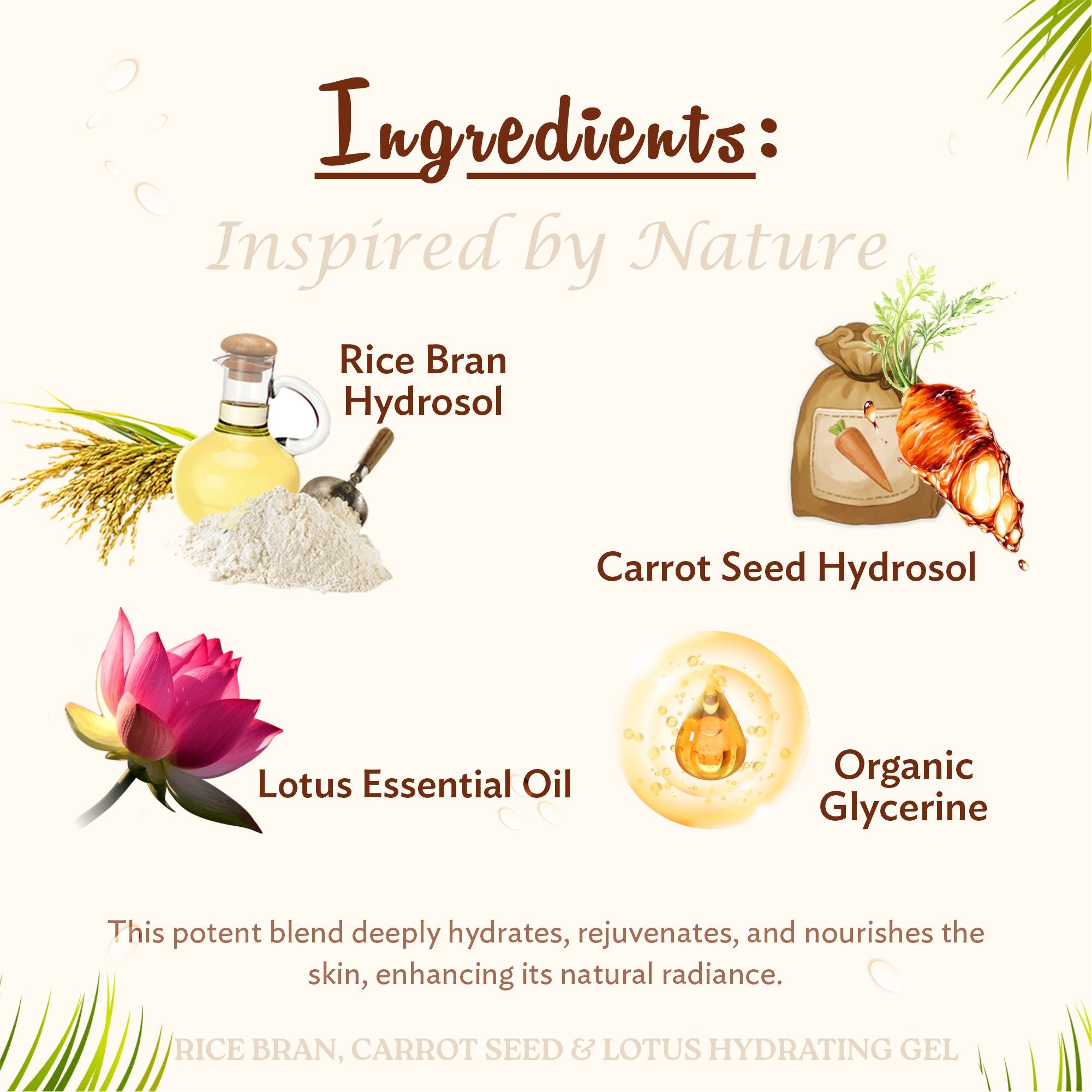 RICE BRAN, CARROT SEED & LOTUS FACE HYDRATING GEL (30 ML)